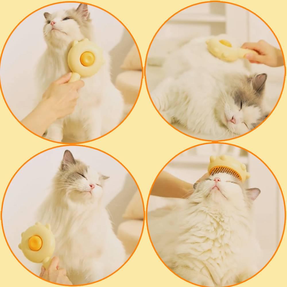 Brosse de toilettage Premium - BrosseBoop™ - Boop-shop