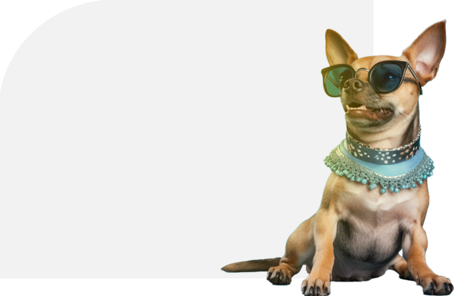 Plan_de_travail_2_388baf79-ab6d-41c7-8848-2678e1223c7d - Boop-shop